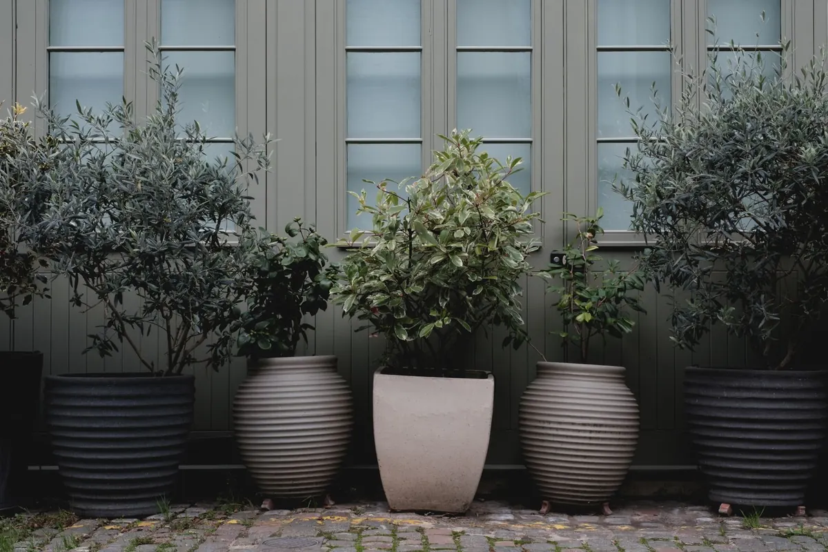 Container Garden Design: How to Mix Thrillers, Fillers, and Spillers